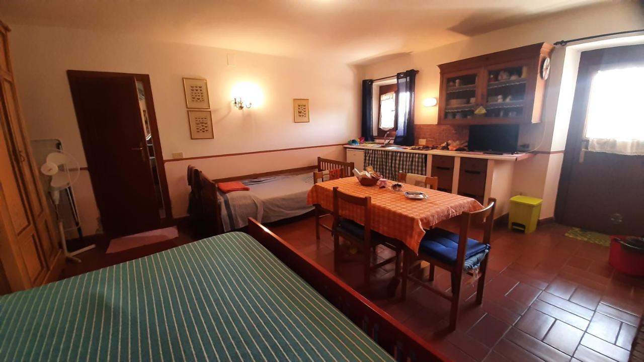 Artenatura Beb Terranuova Bracciolini Esterno foto