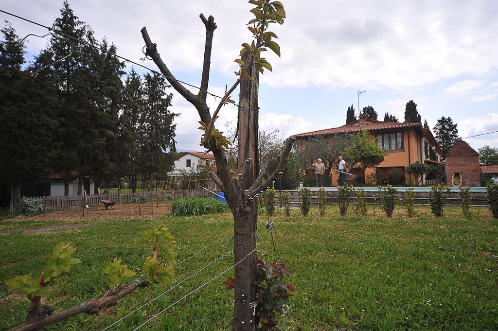 Artenatura Beb Terranuova Bracciolini Esterno foto