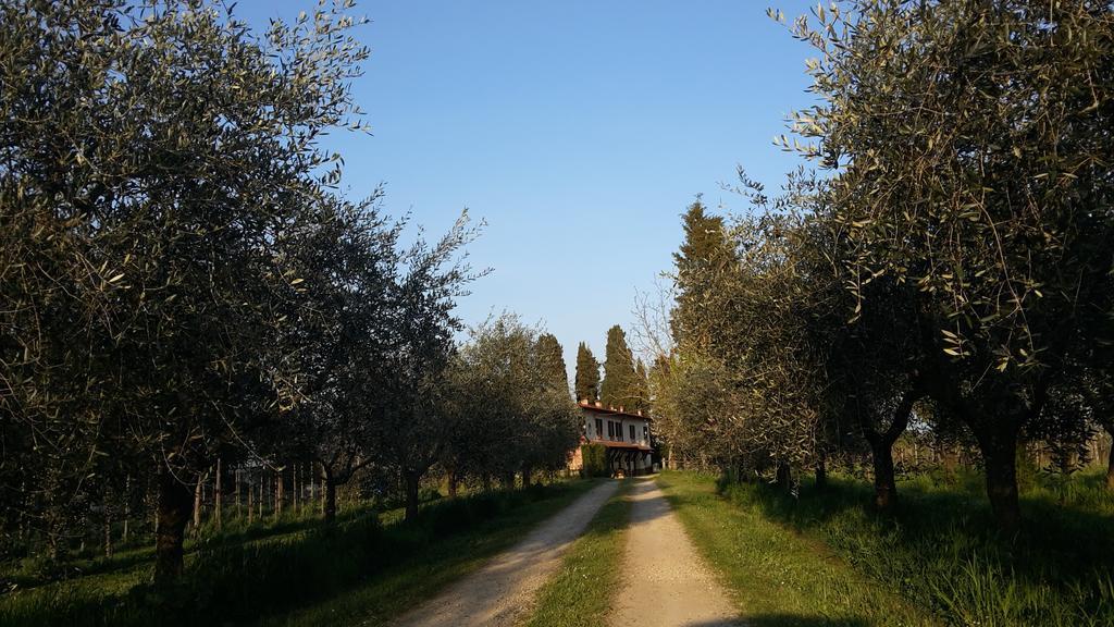 Artenatura Beb Terranuova Bracciolini Esterno foto