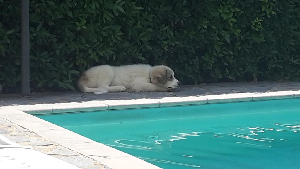 Artenatura Beb Terranuova Bracciolini Esterno foto