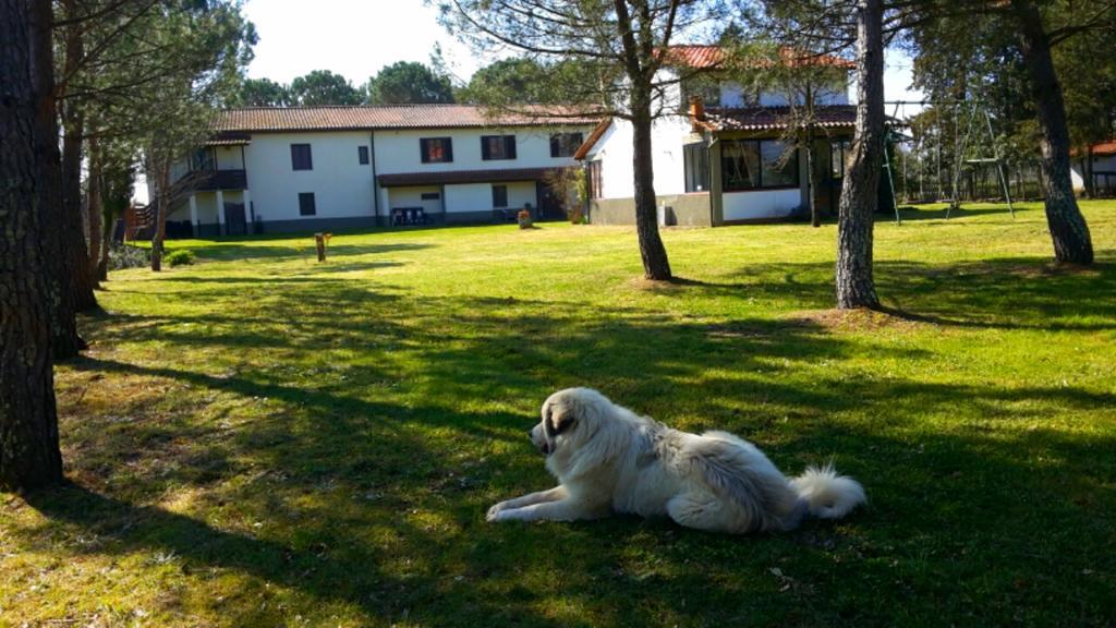 Artenatura Beb Terranuova Bracciolini Esterno foto