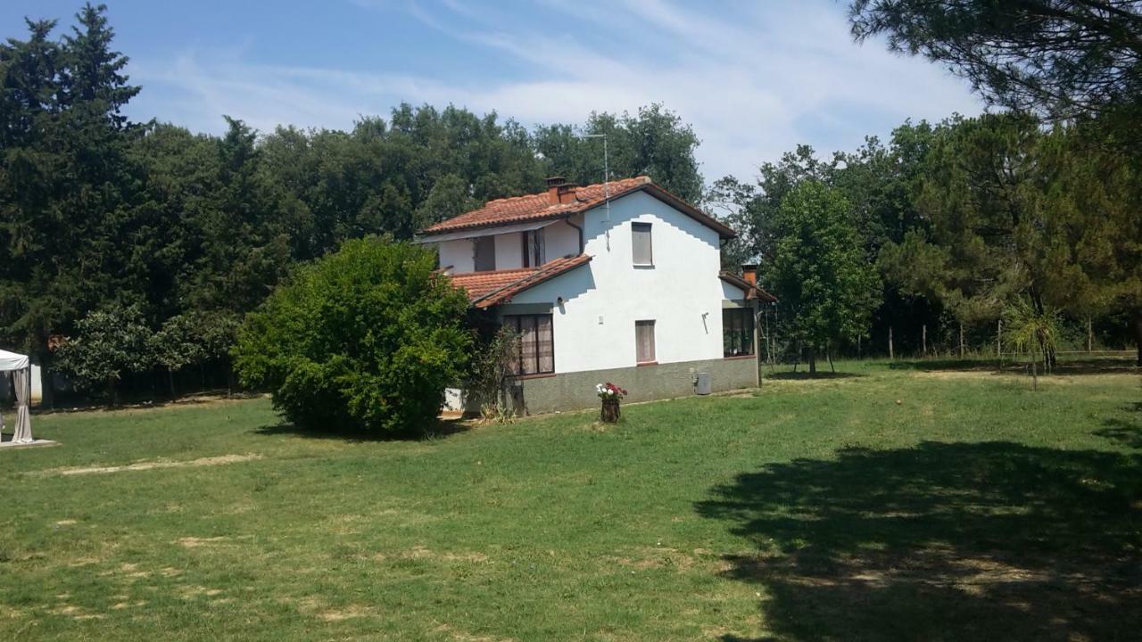 Artenatura Beb Terranuova Bracciolini Esterno foto