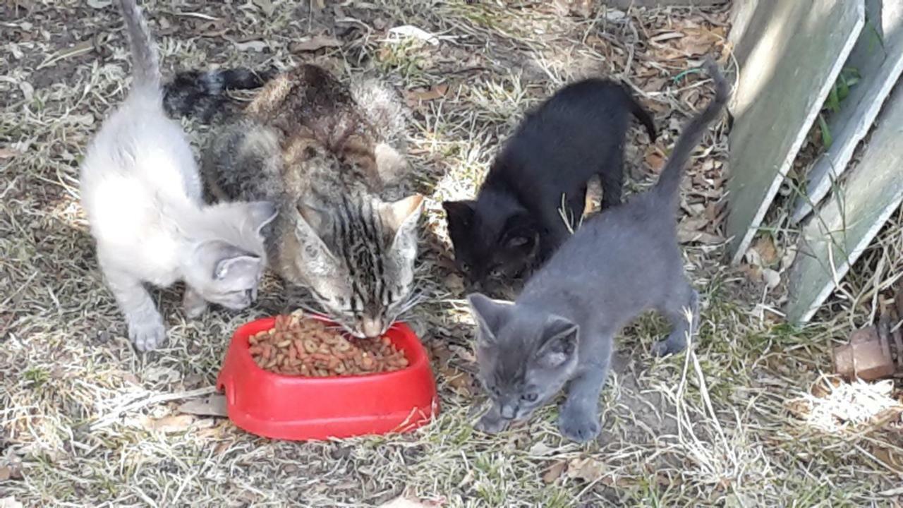 Artenatura Beb Terranuova Bracciolini Esterno foto